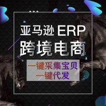 羳ѷȺerp OEM˽л