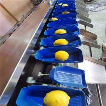 厂家直销赣南脐橙重量分级机 在线监测多头组合秤 可分选多个等级