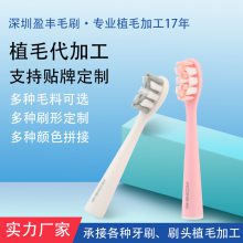 电动牙刷头 全自动牙刷 牙刷头植毛 牙刷植毛 工厂牙刷植毛