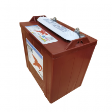 邱健trojant875蓄电池观光车巡逻车高尔夫游览美国进口8v电瓶