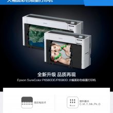 Epson SureColor P8580D B0 44英寸 6色颜料大幅面打印机