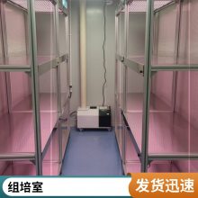 ˹ҹ滮 ģ⻷