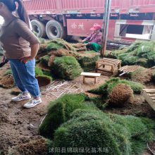 ���ϲ�ƺ��Ӧ ��ƺƷ����������/��Ľ��/�ļ���/�����/����é ���ż۵�