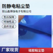 洁净室粘尘垫强力粘尘高效除尘 尺寸可选 聚乙烯PE