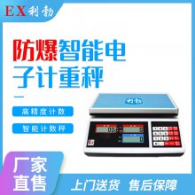 Ӣ ܵӼس LBEX-300