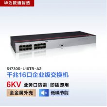 Ϊͨѡ S1730S-L16TR-A2 16ǧҵ