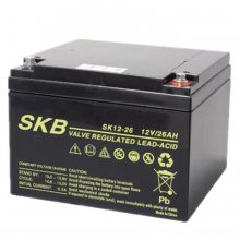 ¹SKBSK12-5.2 12V5.2AH UPSԴ