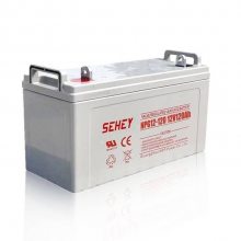 NPG80-12 SEHEYǦά12V80AH UPSԴ