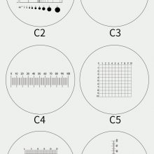 ﾵ΢75*25*1.5mm ΢Ŀ̶ȳ ʮַֻ߳Һ