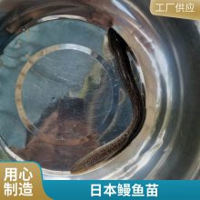 绶ӭ۷ˮ ձ ȫ