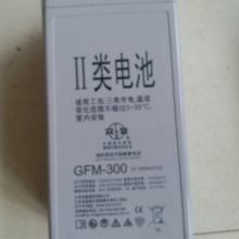 ˫GFM-300/2V300AH 