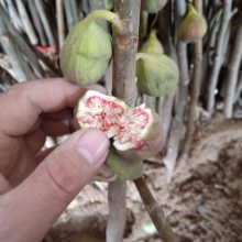 ޻ 1޻