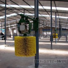 奶牛挠痒清洁牛体刷 牛场用旋转自动牛体按摩刷