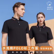 poloӡlogo乫˾TĻļƷ2327#
