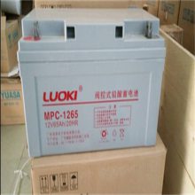 LUOKIMPC12-40CHʽܷǦά12V40AH豸