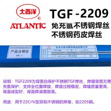 TGF-308L 309L 316LԱ벲ҩƤ벻˿