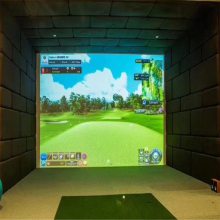 Ԫ����߶��� ��������ͶӰ �Ƽ���ʤһ��ģ��golf
