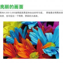 ѶVIVITEK칫ͶӰͶӰ MW2923J/MX2925I