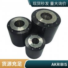 ALM12-TL132AKMF100-W-B2ֱߵ֧Akribis
