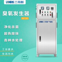 兰蒂斯包装车间臭氧机 饮食加工车间臭氧杀菌机
