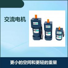 河北飞腾6W齿轮减速电机、6W光轴电机2IK6GN-C/2IK6A-C