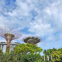 福建运到新加坡门到门双清的运输方式分享一下经历