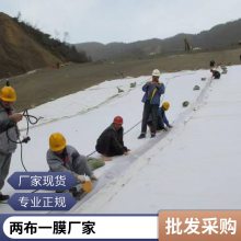 世杰HDPE白地膜黑地膜针刺无纺复合土工布 土工膜