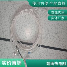 斯美特端面热电阻 WZPM-201轴承电机测温度传感器探头PT100元件