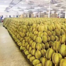 �� ��ˮ���� Ӧ���������Ĵ�ˮ���� ���г� �� ������������