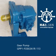 Gear Pump GPP1-FOE63A1R-113 ��ʿ���X݆��