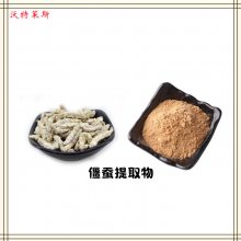 僵蚕提取物10:1 浓缩粉 提取液 小分子肽 多种规格 1kg起订 包邮