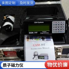 GEM GSM-19T proton magnetometer Ӵ