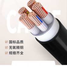 WDZ-YJY3*10+2*6ƽ±ͭо£ƣ0.6/1KVͭоѹ¡