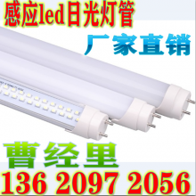 T8 LEDܰƹ ״Ӧƹ 1.218W ³ר