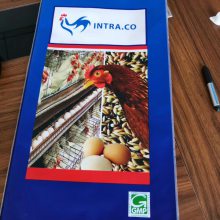 BOPP Laminated PP Woven Bags with Handles
