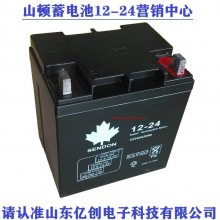 SENDON山顿蓄电池6GFM-38 12V38AH/20HR应急电瓶 UPS/EPS直流屏