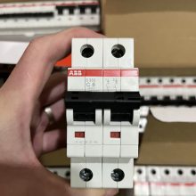 ABBСͶ·SH202-D63 ΢ͿS200ϵ ˫˫6kA/D