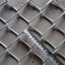 喷浆钢丝网片 边坡防护网 绿化钢丝网 川丰专业自产自销定制