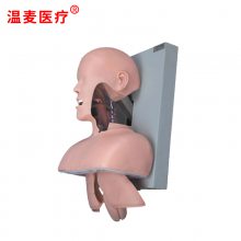 ҽ ҽѧģ ѵ ڱǻṹ Ȳģ