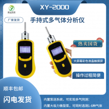 XY2000-CH2O型泵吸式甲醛检测仪可实现多气同测自由选测1-6种气体