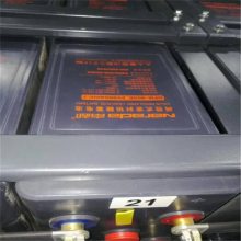 ϶LSE2VGFM-600Eҽ豸ups