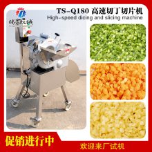 腾昇食品机械 洋葱切片机 茄子切片机 火腿切丁机 蔬果切菜机TS-Q180高速切丁机