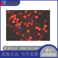 Thermo Cyto-Plexʽϸӫ΢(Ȼ) 1ml FM4CR01