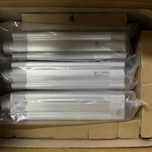 FESTO/˹ ͺDSBC-50-160-PPVA-N3