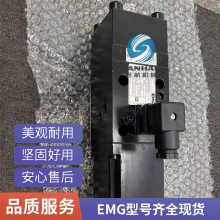 EMG SV1-10/16/100/6Ʒ¹ԭװ