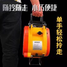 小金刚DKSLS双孔悬挂式钢丝绳电动葫芦DK160公斤家用220V电动葫芦
