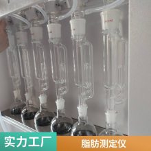 ASXT-06粗脂肪检测仪索氏提取器 测定仪 专用仪器仪表