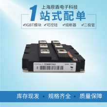 ϺӦӢBSM100GB170DLCģ