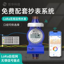 LoRa无线远传水表 炬源JYDZ101-Y防偷水水表 DN15-DN25