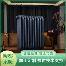 ů 䳧˫满ȡůƬ GH5-1.1/6-1.0ɢƬ